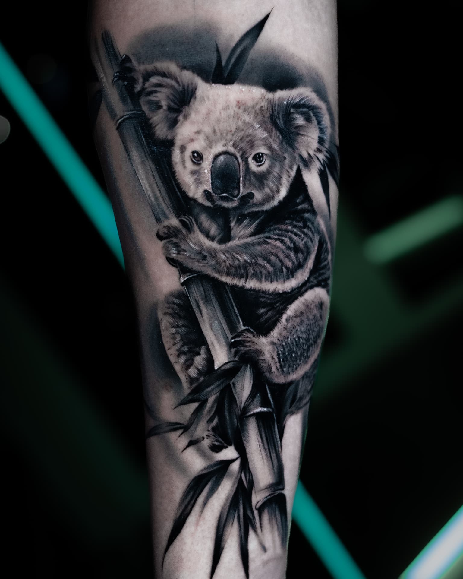 Tatuaż — Koala